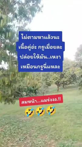 #เพื่อความบันเทิง💯 
