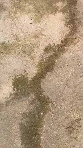 🕺🏻#fizr_2stroke #boyolalistyle🚀 