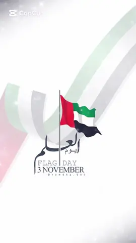 #حمد_الكبيسي #الامارات #ابوظبي #يوم_العلم#اكسبلور 