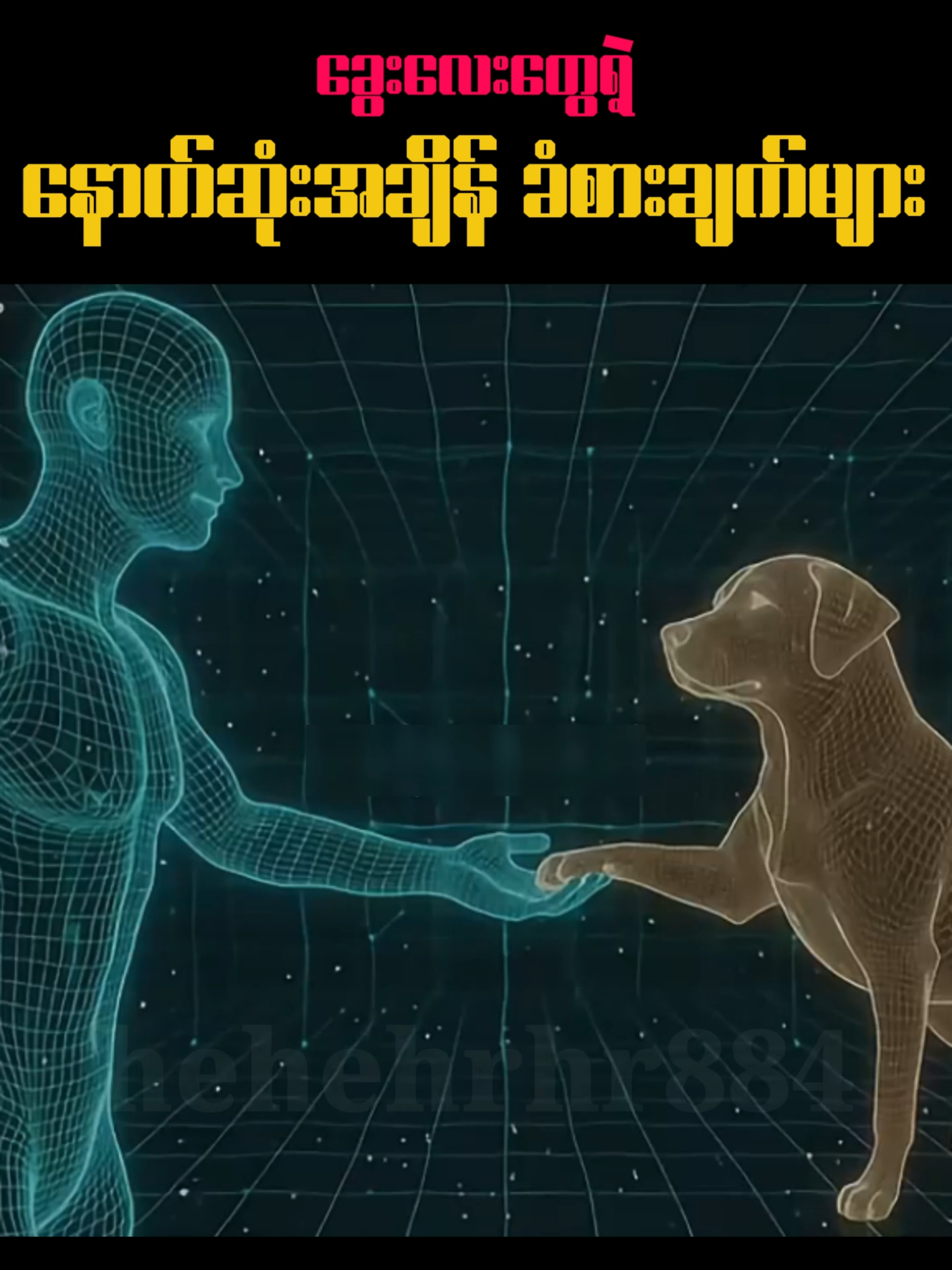 ခွေးလေးတွေရဲ့နောက်ဆုံးအချိန်ခံစားချက်များ 🐶🥲@hehehrhr884 #tiktokmyanmar #creatorsearchinsghts #fyp #viral #dog 