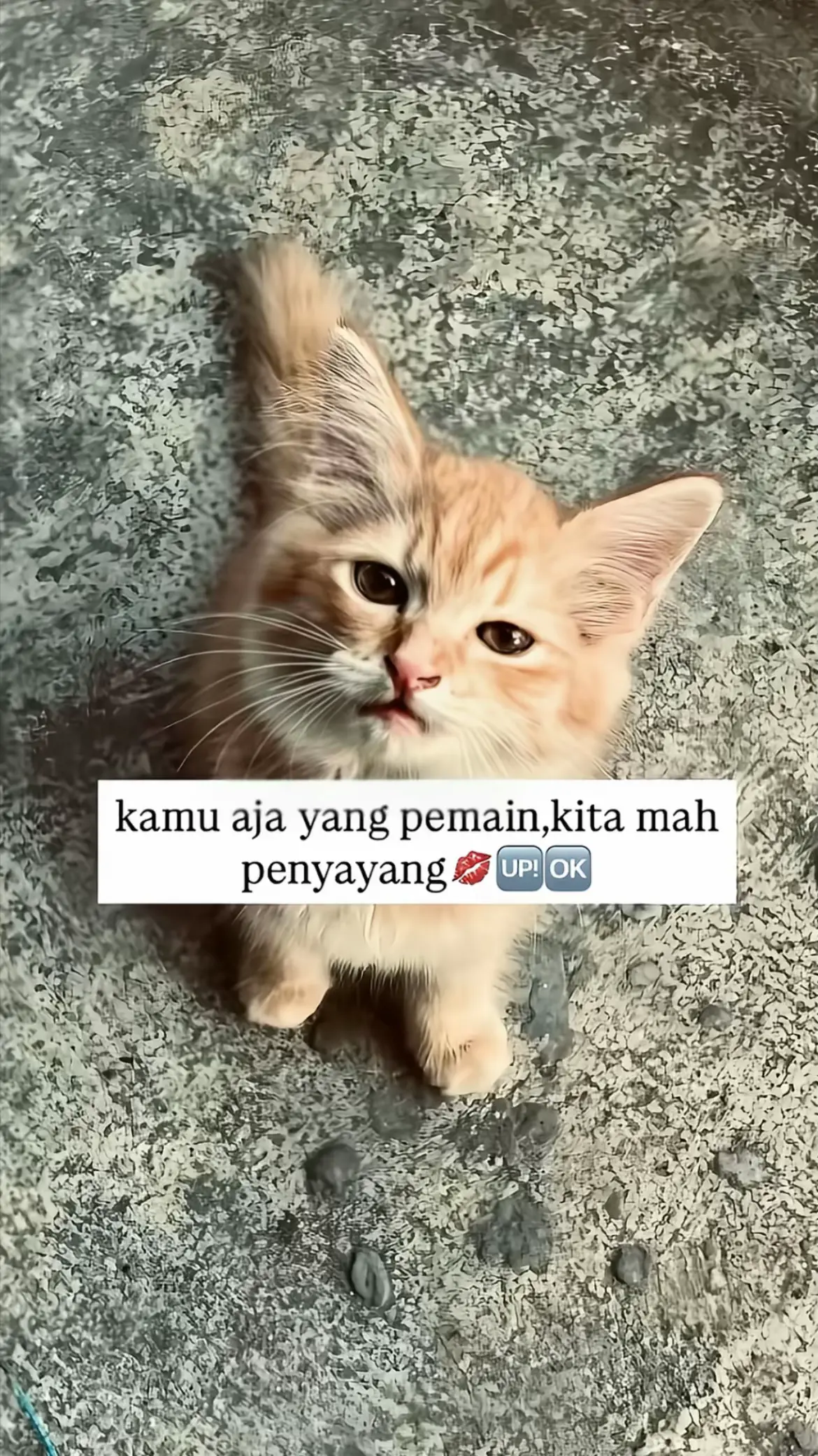 #tarkam#trending#tiktok#xybca 