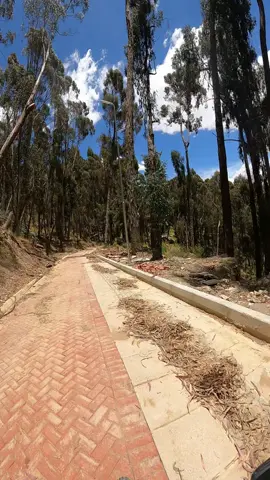 #lapaz_bolivia🇧🇴 #gopro #ciclovia #foryou #ciclismo 