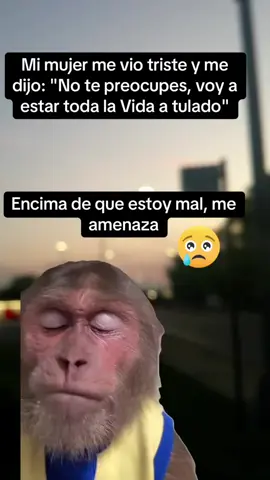 #es broma 🤣🤣🤣