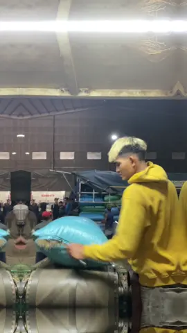 Chủ nợ cứ yên tâm vô mùa rồi nhé