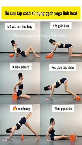 Bộ sưu tập những cách sử dụng thông minh cho khối yoga: một khối yoga cho bài tập toàn thân