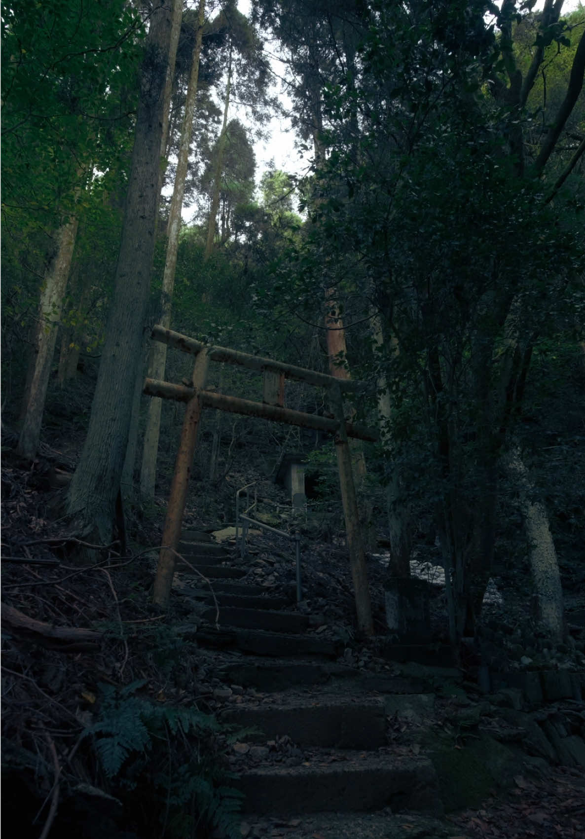 扉の先の神社🚪