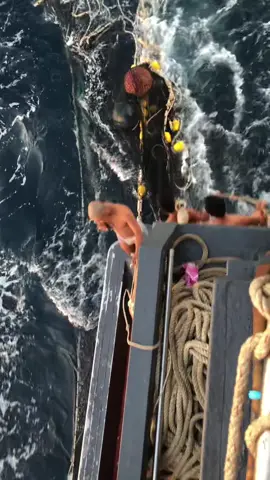 #အလုပ်လုပ်ရတာ လွယ်တယ်များထင်နေသလားဗျာ#အသက်တွေရင်းပီးလုပ် နေရတာဗျာ🥺#ငါ့viewတွေဘယ်ရောက်နေကြလဲ😔