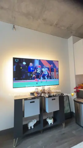 We both determined our teams were in a race to the bottom, but I had fun 🤣.