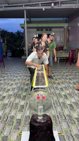 Móc lông đền vào lưỡi câu nhận thưởng hihi