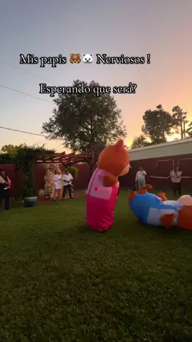 #genderreveal👧🏻👦🏻#boyorgirl💙💗🤷🏻‍♀️#reallove💗💙#foryou#teamamosbebe🫶✨