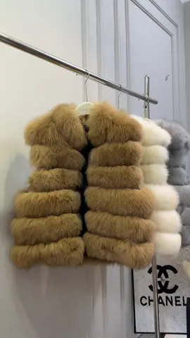 Áo đã có - Gió cứ về #tunglamninhhiep #xuhuongtiktok #viraltiktok #Áolông #choninhhiep 