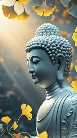 Trần gian mỏng mộng vô thường Đường xa mỏi mệt tôi thường nhịn tôi.🙏🏼🙏🏼🙏🏼