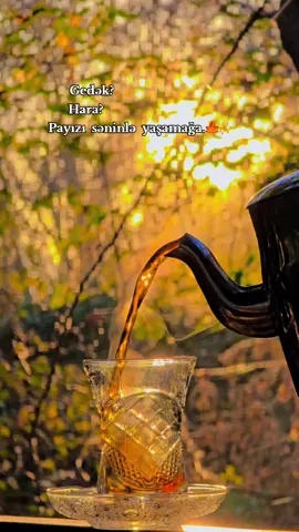 🌞 Yeni günə, yeni həftəyə xoş gəldik! Həm könlümüz, həm çayımız dəmli olsun 🍃☕️ Uğurlu günlər diliyirəm 💫