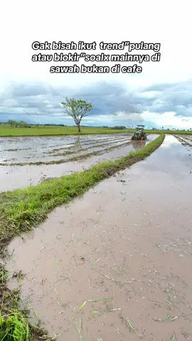 Bukan idamanmu🙃#bismillahfyp #anakpetani🌾 #petaniindonesia🇮🇩🇮🇩🇮🇩🌿🌿 #petanimuda #@𝐌𝐚𝐬𝐬𝐠𝐨𝐧𝐝𝐫𝐨𝐧𝐠  