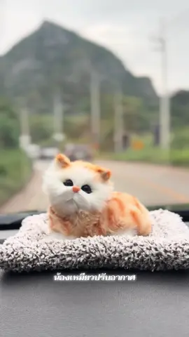 นั่งหน้ารถไปด้วยกันทุกที่  ปรับอากาศในรถได้ด้วย #ตุ๊กตาดับกลิ่นในรถ #ตุ๊กตาดับกลิ่น #แมวน่ารัก 