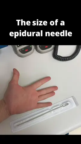 #greenscreen Go kiss your mothers rn @Aileenchristineee #fyp 