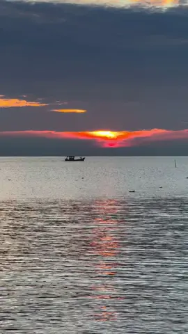 #71bentre_xinchao🌴 #connhanbatri #fyp #viral #xuhuong 