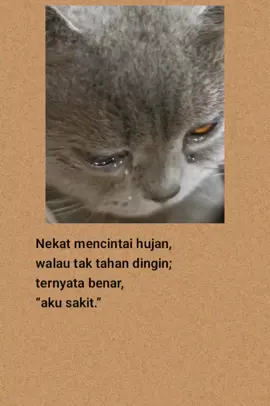 #katakatasedih #katakatabijak #fyp #viral #laguindia 