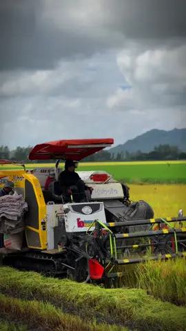 kìa gió đông sang cùng bật khúc hát ngân vang...🙆🏻‍♂️🥰#dc105บ้าพลัง 