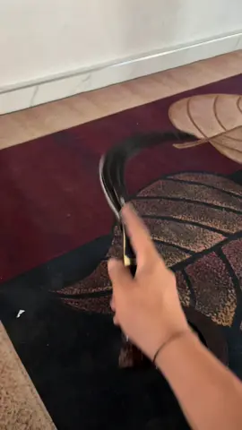 #sampang #pamekesan #sumenep #madura #jawatimur 