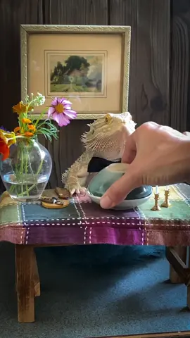 The man, the myth, the legend. 