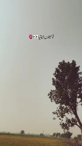 #fyp #fypシ゚viral #treandingvideo #lyrisvideo #fypシ゚ @ThakurLaddi @ABDUL💫 