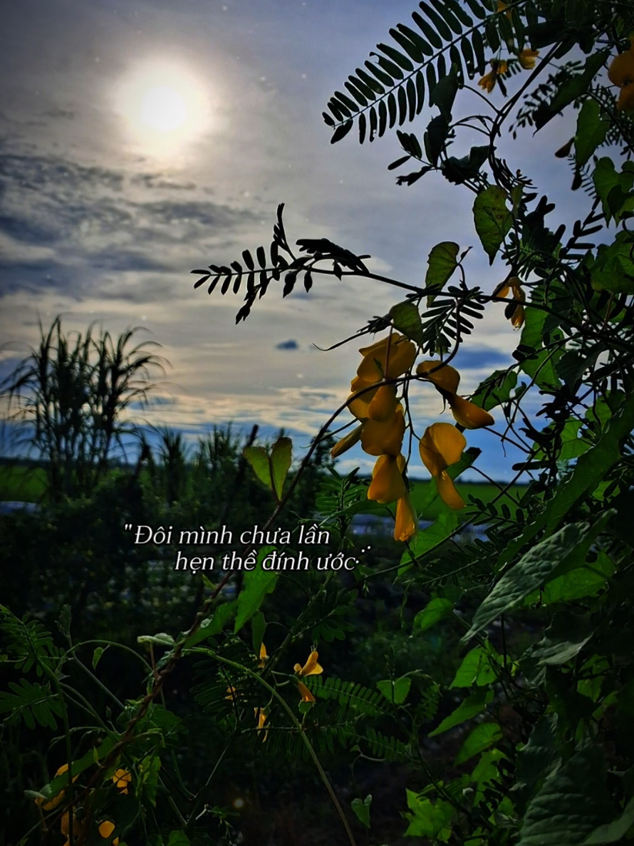 Đôi mình... #nhachaymoingay  #fpy  #lặng989  #thiennhien 