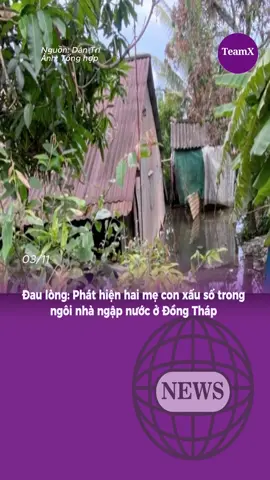 Đau lòng: Phát hiện hai mẹ con xấu số trong ngôi nhà ngập nước ở Đồng Tháp#teamX #bejob #fyp #tintuc #viral 
