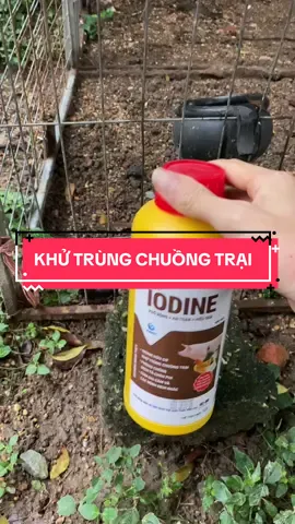 Chai 1 lít iodine khử trùng chuồng trại #iodine #khutrungchuongtrai #sattrungchuongtrai #gachoivietnam #thuytaigia 
