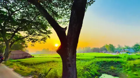 বিশ্বাস করলেই ঠকতে হয়.....😅❤️‍🩹🌿#viral #naturelover #anfeezemyaccont #greenscreen #viral_video_tiktok 