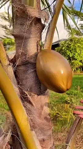 #تجمع_الأخوة_في_الله #المتحابون_في_الله 