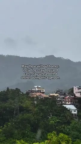 🙏🏻🙏🏻🙏🏻🙏🏻🙏🏻🙏🏻 #fyp #bagyongtino #pray #creatorsearchinsight #besafe 