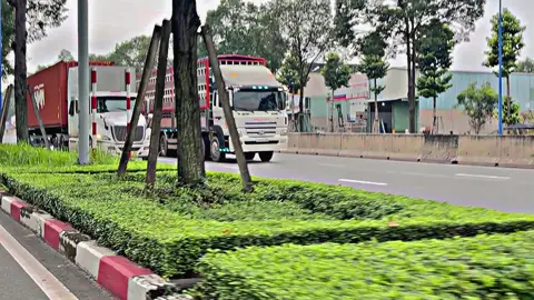 Ae xe heo chắc không lạ gì ido này chứ ạk 🥰❤️✅🚛 #51d82756 #xeheo #hd320 #xuhuong #trending 