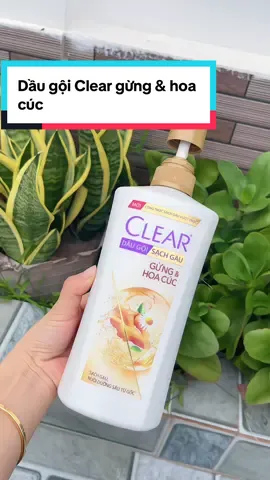 Đầu nhiều gầu , hay bết ace thử qua dầu gội Clear gừng hoa cúc này nha#clear #cleargunghoacuc #daugoithaoduoc #daugoithiennhien #hoptaccungunilever  @Phượng Phượng  @Phượng Phượng  @Phượng Phượng 
