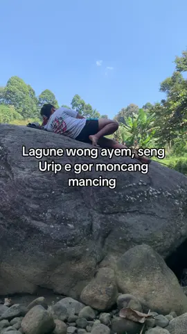 Syahdu🥰@MAFIA BONCOS🐟 #mancing #microfishing #fyp 