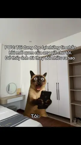 Con người đã thay đổi 😅🥲🥲🥲 #xuhuong  #xuhuongtiktok  #meow  #meme  #homestaydoirong 