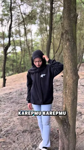 Lagu karepmu 2