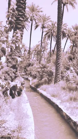 #السلطان #علي_بن_بريك  #موقفك #الشحر#حضرموت 