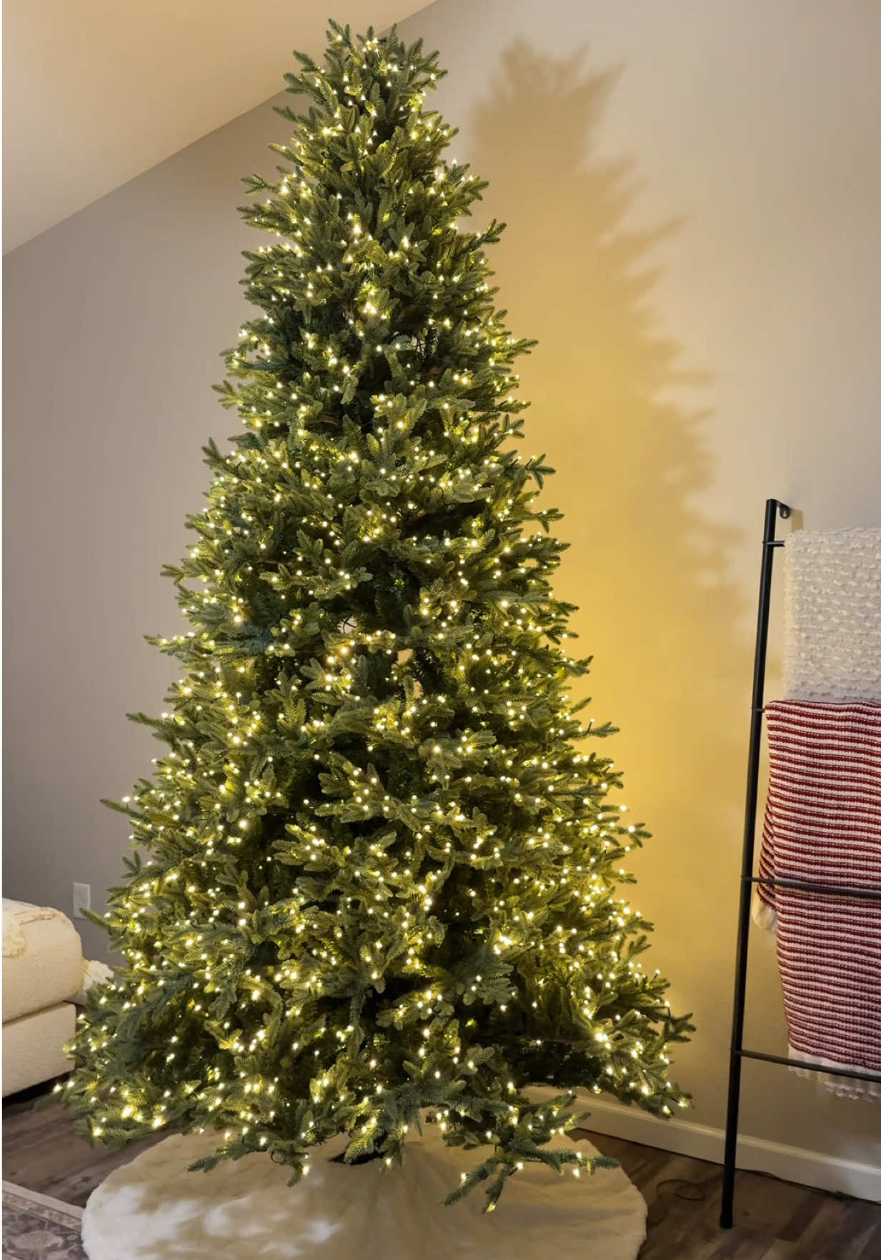 Worth every penny🎄 #costcotree #christmastree #christmastime #christmasiscoming #costcochristmas 