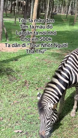 Cho xin 500k #GreenCreator #Vinwonders #Dulich #jz45uvr #phuquoc 