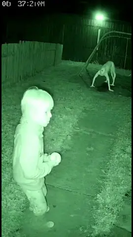 That was unexpected 👀 #horror #caughtoncamera #scary #ringcamera #sora 