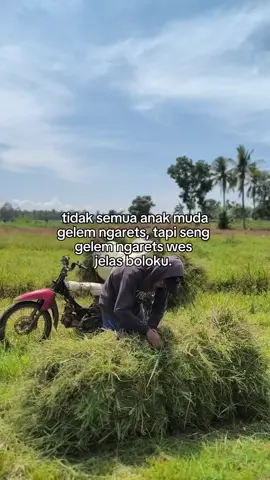 salam ngarets josjis🤙#fyp #peternakmuda #sobatngaret #ngaretsuket #peternaksapiindonesia 