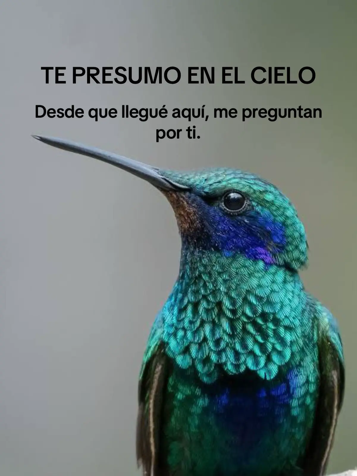 Poema por: Fernando D’Sandi. #teextrañopapa #desdeelcielo #nuestropandiario #vidaeterna #eternidad 