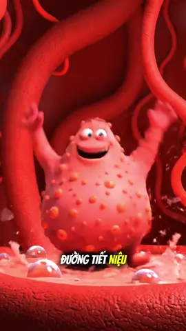 Tiểu rát tiểu buốt đừng lo âu. Uống trà Kim Tiền Thảo Râu Mèo lành mau mau!!! #viemduongtietnieu #trakimtienthao #benhtodehatlo #suckhoe #tieubuot 