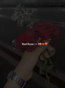 Red Rose >> 🥹🌹#foryou #foryoupage #vairal #tiktok #fypシ゚ 