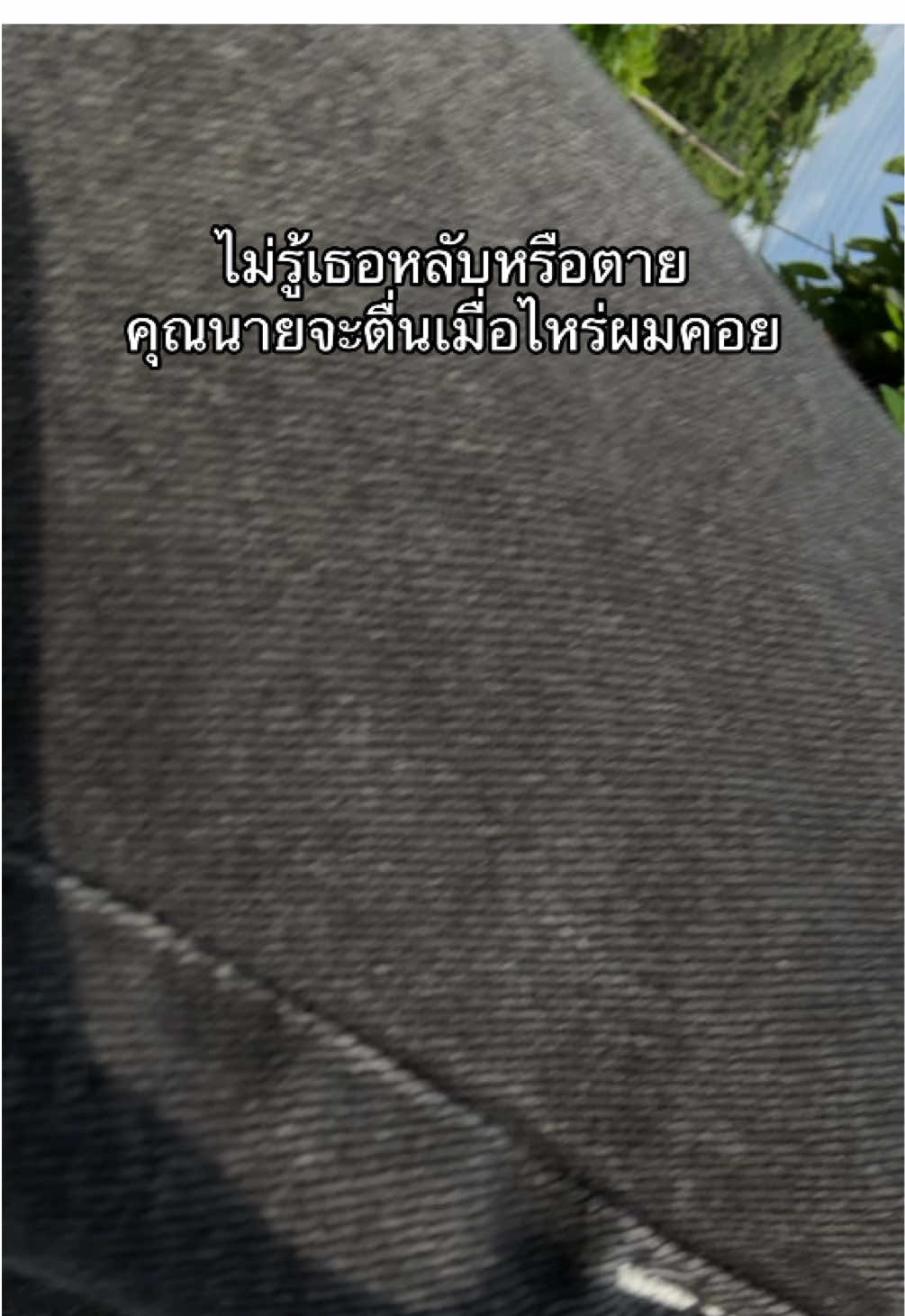 ตื่นหน่อยคุณนายตื่นสาย #TEMI #คุณนายตื่นสาย 