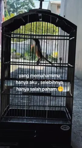 bener taa om ? 🙌 #cendet #cendetmania #cendetjatim #cendetmaniaindonesia #fyp 