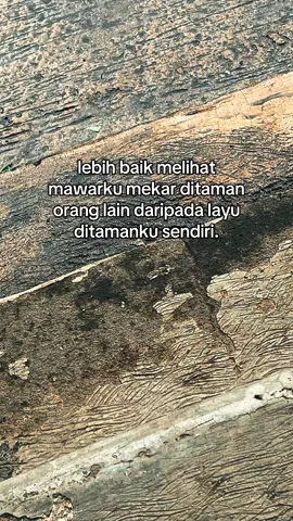 bismillah sess🚀#aishiteru2 #foryou #4u #fyp 