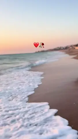 #راحو_فين_ايامنا#منشن_شخص_تبي_يشوف_المقطع #جميله_جميلات_اكسبلورررررررررررررررررررر💥  @💫🌟Luminous Star💫🌟 