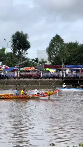 Cọp Thạnh Trị đã đến maspero 🥰#duaghengosoctrang #pongtukchak
